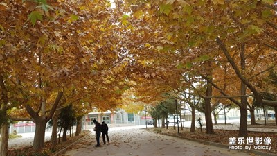 這里是哪里？