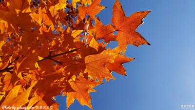 【為中國添色】詩畫城山與運河夜色 （大眾組）