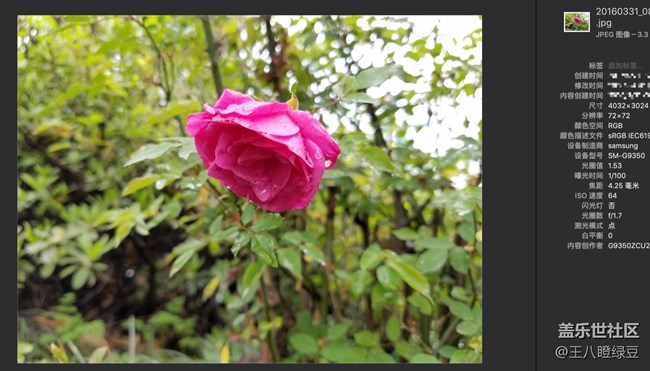 杭州A9s 西塘活動 報(bào)名帖 嘻嘻嘻