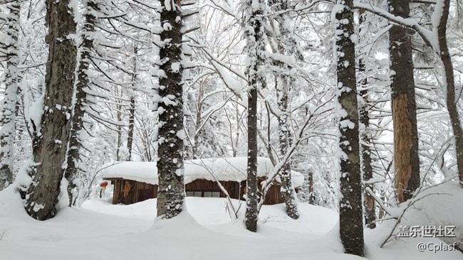 【活動招募】哈爾濱星部落年終聚會 齊聚雪鄉(xiāng) 共暢未來