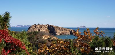 隨影隨景