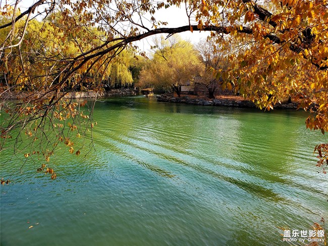 【123期：Galaxy S9 | S+冰藍(lán)色 W2019正式發(fā)售】