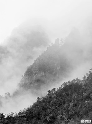 霧里的山林風景