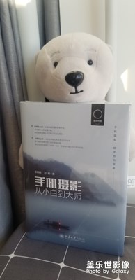 潑辣書