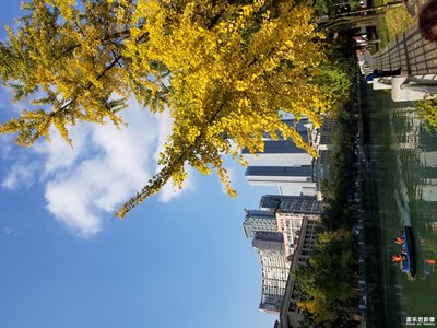 【百變天氣】+冷空氣帶走霧霾帶來藍天