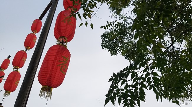 【A9s一機(jī)走天下】我們在煙雨長廊看花巷夜色