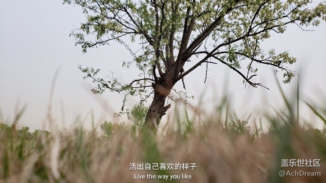 聽說快更新9.0，激動的發(fā)幾張9+拍的照片