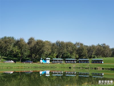 行走在野生動(dòng)物園