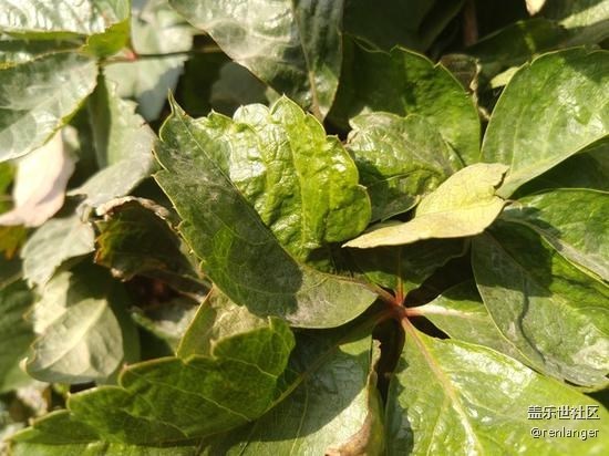 三星Galaxy A6s評測 年輕人的全新選擇