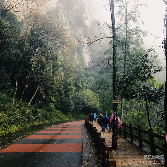 【A9s 一機(jī)走天下】重慶武隆仙女山品鑒之旅