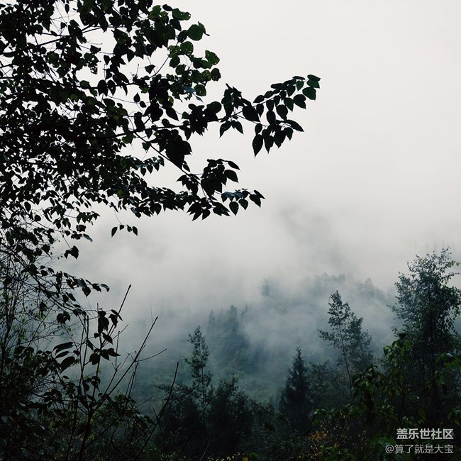 【A9s 一機(jī)走天下】重慶武隆仙女山品鑒之旅