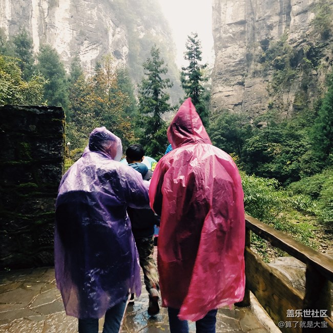 【A9s 一機(jī)走天下】重慶武隆仙女山品鑒之旅