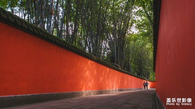 【為中國添色】秀色蓉城