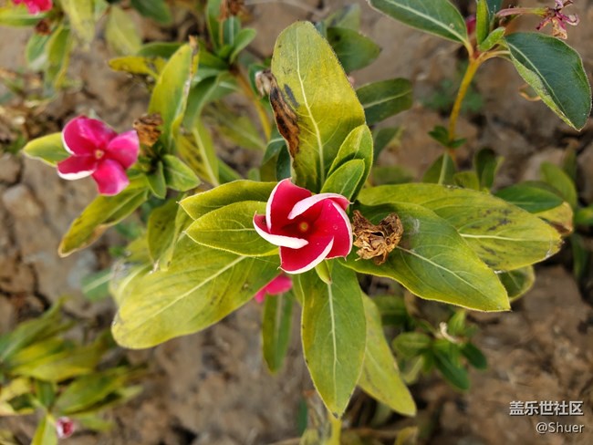 深秋初冬的公園