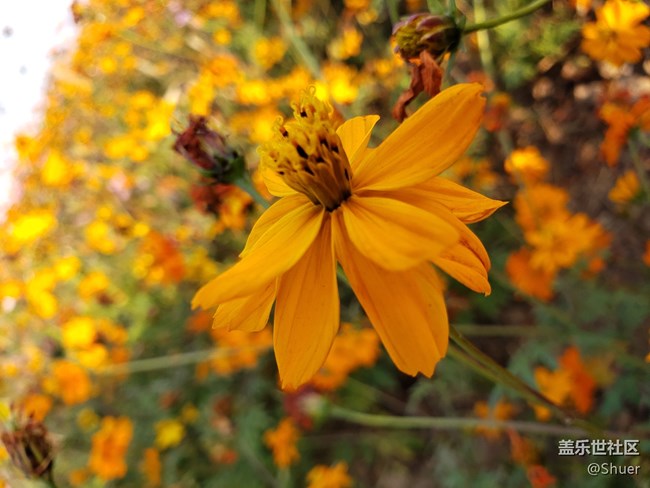 深秋初冬的公園