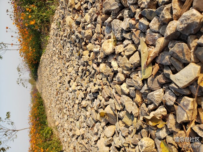 深秋初冬的公園