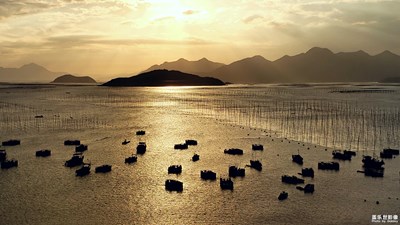 【為中國添色】屏住呼吸，游霞浦......