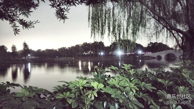 發(fā)兩張照片