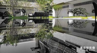 那一抹沁人心脾的綠