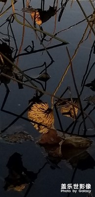 體會note8的影象,我滿意