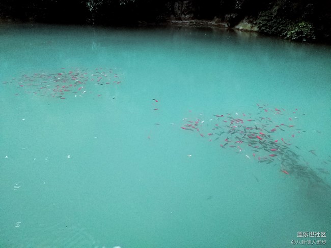 一機走天下 重慶武隆人間仙境大自然的饋贈