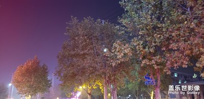隨手一拍凍死個人