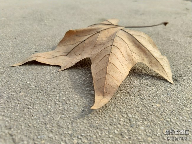 【A6s星粉體驗(yàn)團(tuán)】A6s體驗(yàn)淺談