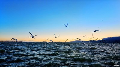 【重“星”出發(fā)】