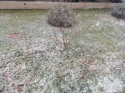 2018石家莊的第一場雪