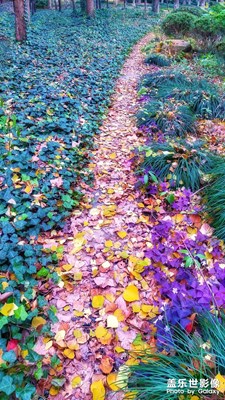 讓每一個點滴都充滿色彩…