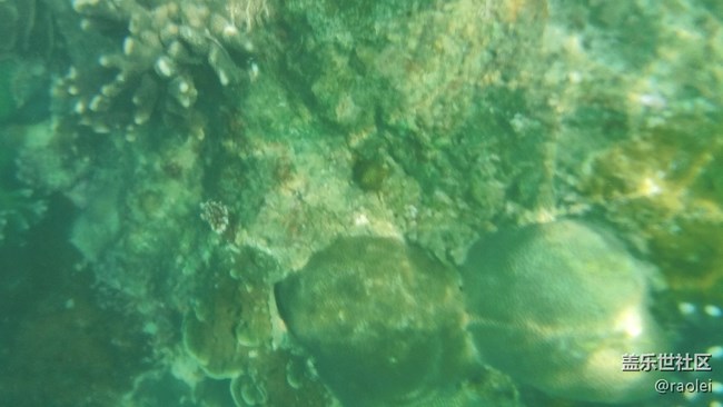 談?wù)凧7008的拍照功能