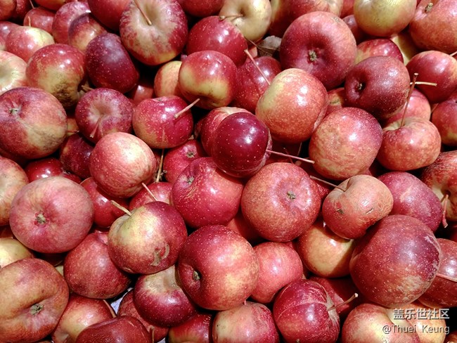 【A6s星粉體驗(yàn)團(tuán)】潮流單品—A6s體驗(yàn)