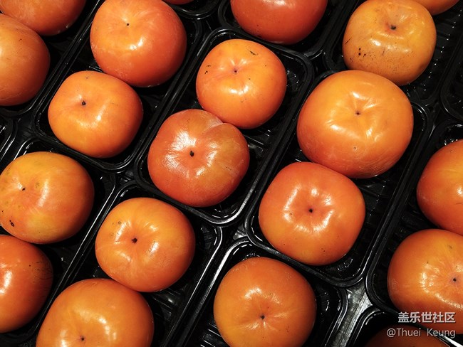 【A6s星粉體驗(yàn)團(tuán)】潮流單品—A6s體驗(yàn)