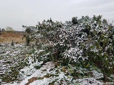 【緯度的色彩】+今冬的第一場雪