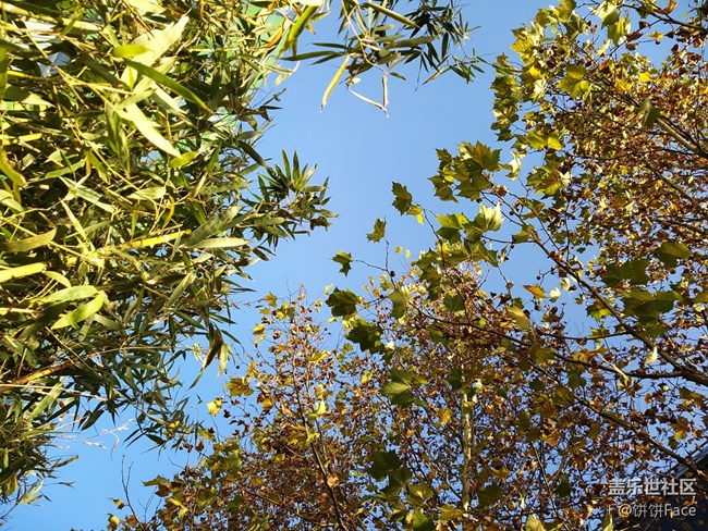 匠心獨(dú)具 慧眼識(shí)珠 三星Galaxy A8s全面評(píng)測(cè)