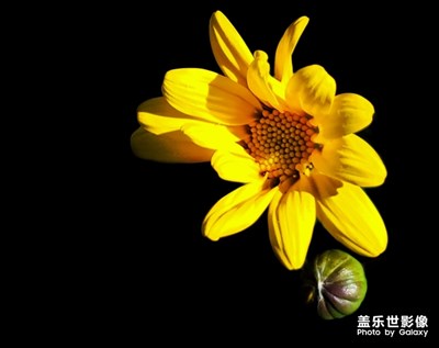 學(xué)習(xí)中……