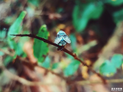 【再見，2018！】一