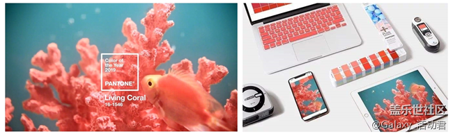 還在追逐潘通色？中國(guó)色，了解一下！