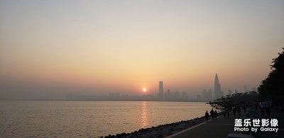 冬天的深圳灣畔