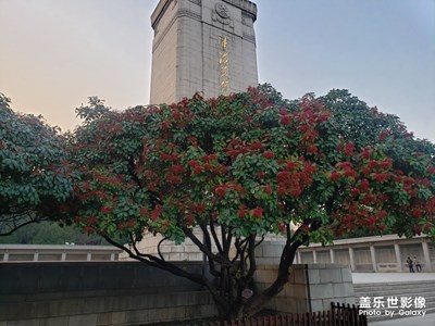 隨拍