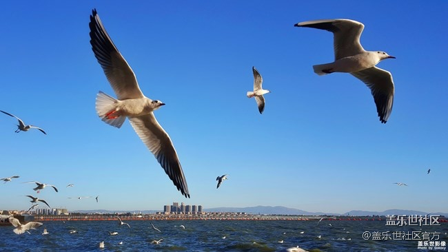 【126-127期：三星黑瞳全視屏 Galaxy A8s正式發(fā)布】