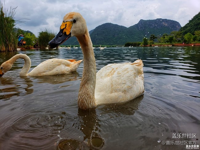 【126-127期：三星黑瞳全視屏 Galaxy A8s正式發(fā)布】