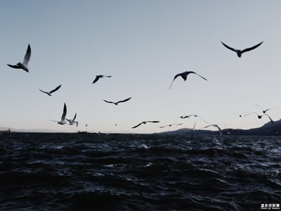 【回憶，2018！】二