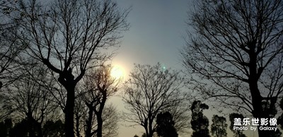 冬天的太陽(yáng)