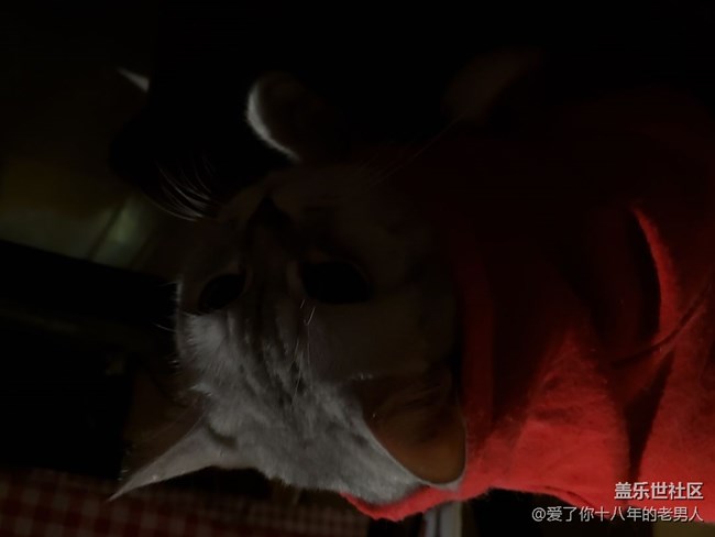 三星S9+拍照照片變黑。