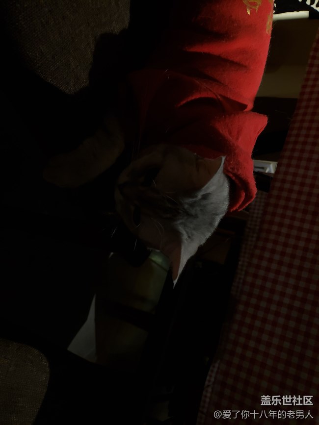 三星S9+拍照照片變黑。