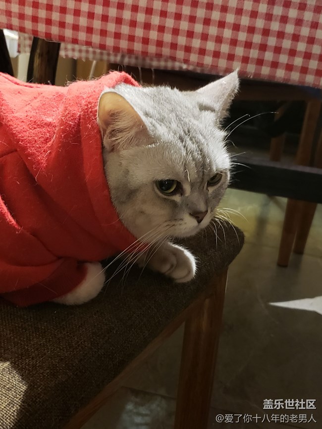 三星S9+拍照照片變黑。