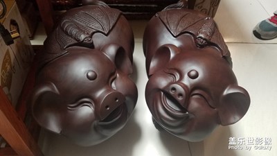 【回首2018】+時(shí)光相冊(cè)