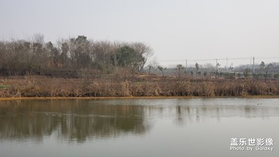 鄉(xiāng)行-老家行