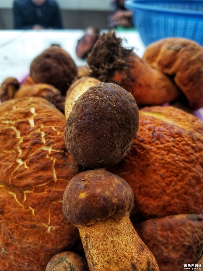 【手機里的美食】+鄉(xiāng)村的綠色食品